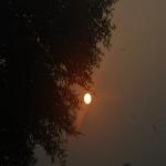 Vraj-Yatra-2014- (1554)